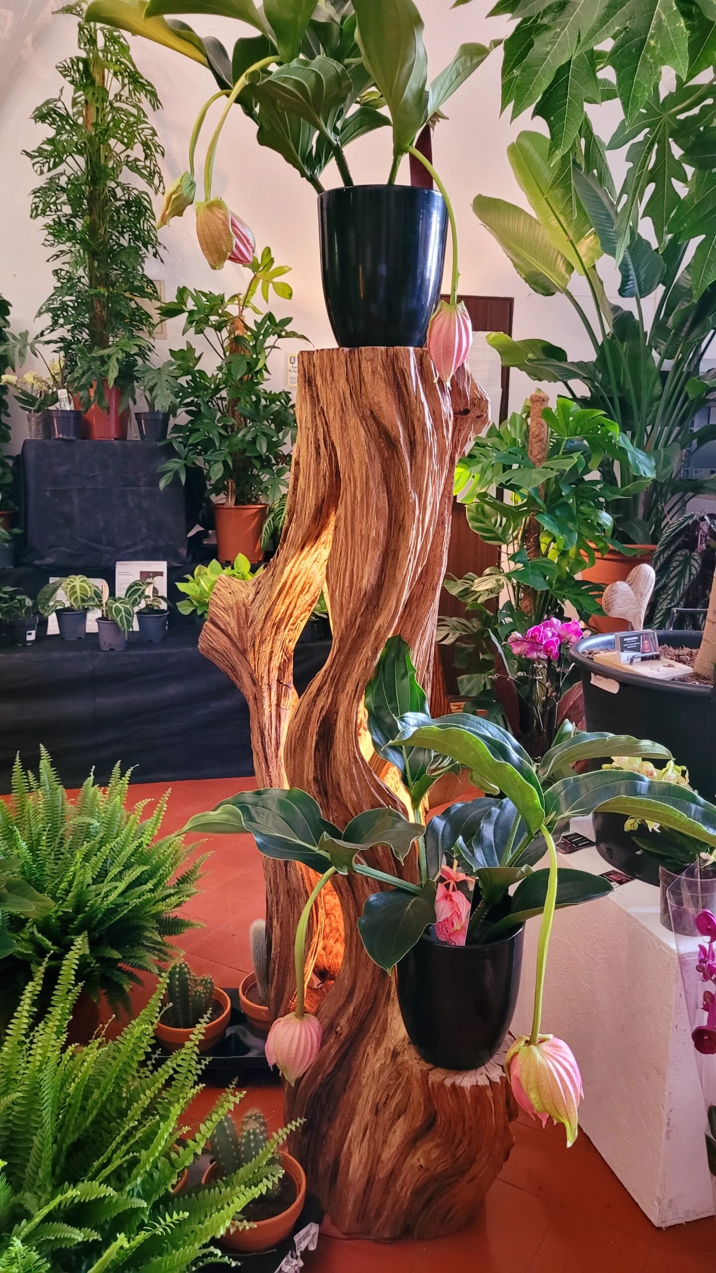 Wyjątkowa Rzeźba drewniana